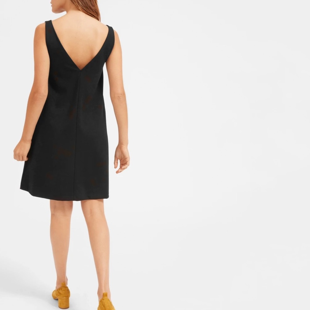 Everlane Deep V-Neck A-Line Dress